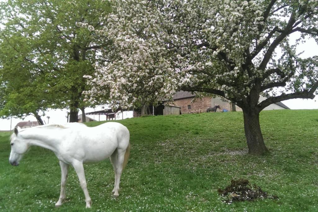 Sinnes Wandel Hof Serka Гримма Экстерьер фото