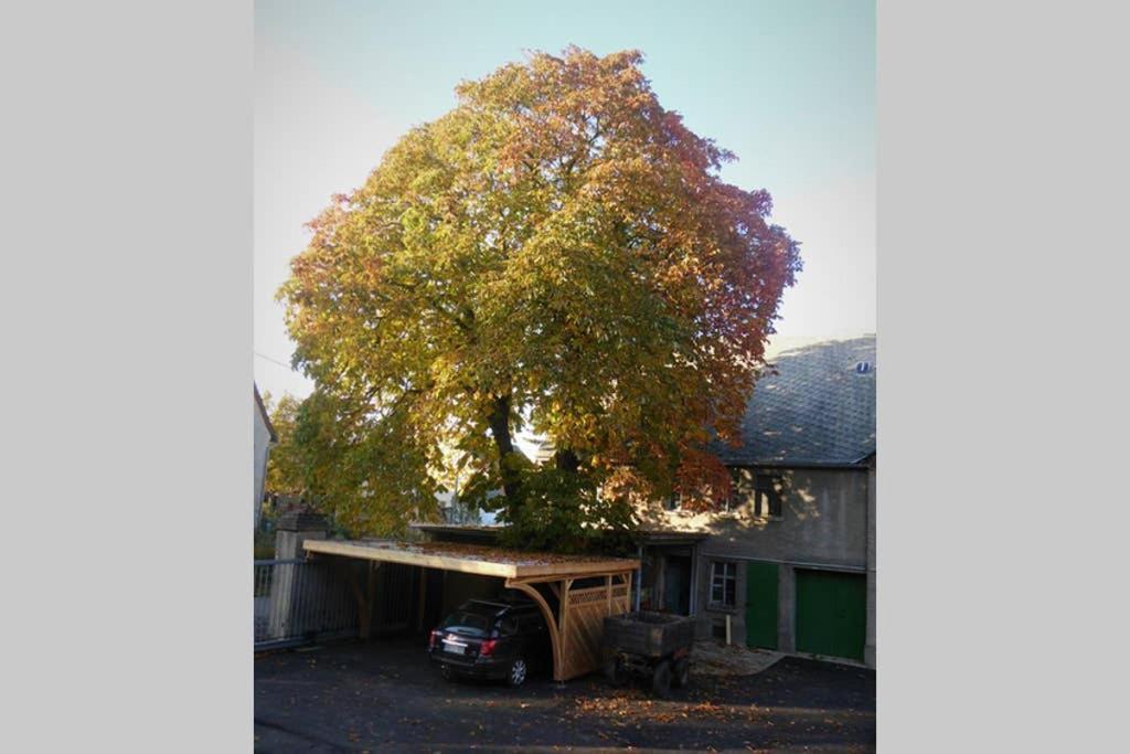 Sinnes Wandel Hof Serka Гримма Экстерьер фото